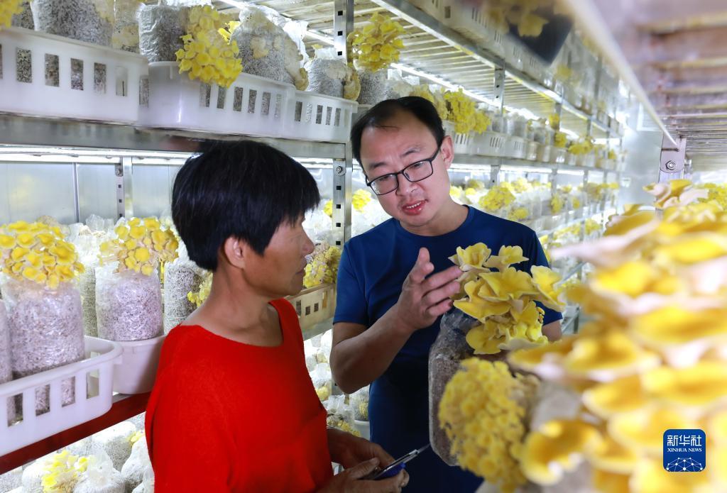 小猫变身水果机下载